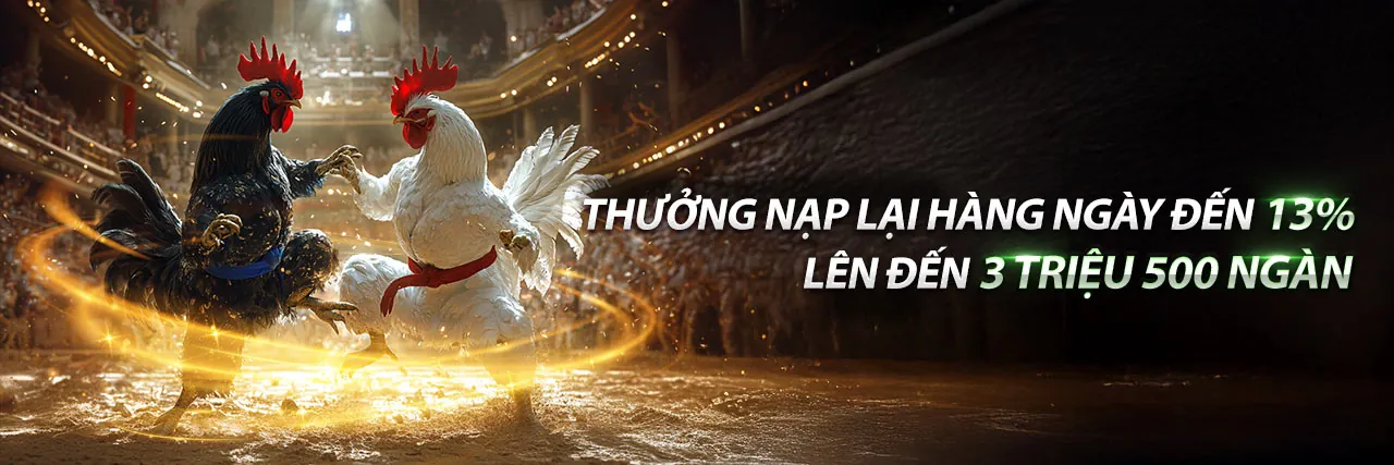 Trận đấu đá gà kịch tính anhem888 login